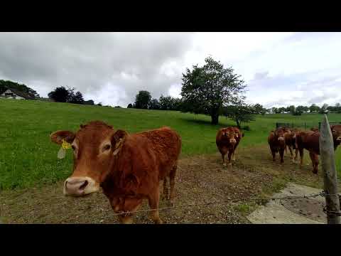 Fimi Palm 2 Pro - Eifelsteig Etappe 3 Eindrücke