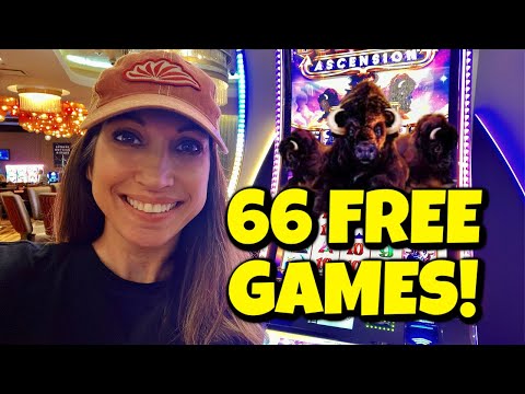OMG! 😱 I got 66 Free Games on this Buffalo slot machine!