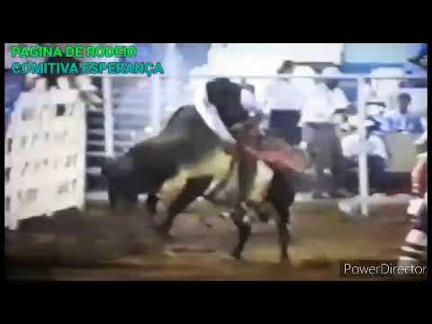 VAGNER ANGELO (GILO  V& TOURO MARTELO CIA CIDON ELO DE AÇO