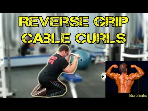 Reverse Grip Cable Curls
