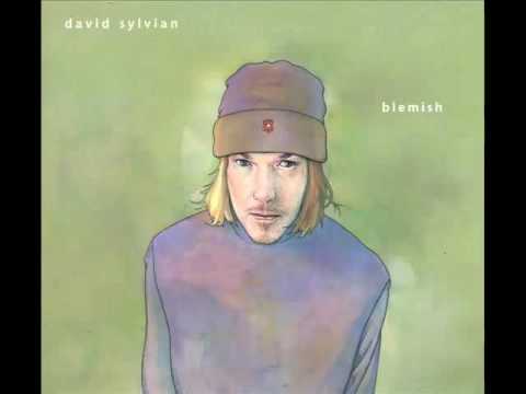 download lagu mp3 mp4 Blemish Sylvian, download lagu Blemish Sylvian gratis, unduh video klip Blemish Sylvian