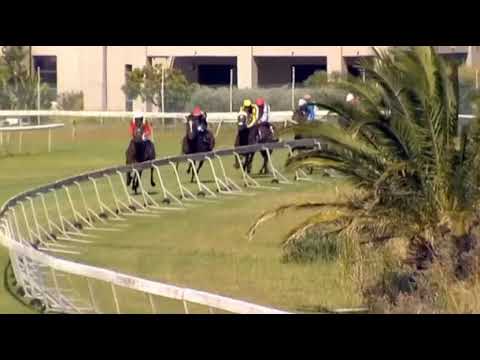 2020 Cartier Paddock Stakes - Queen Supreme