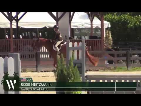Dexter video 1