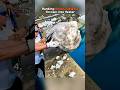 Ranking Satisfying Rocks Thrown Into Water