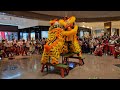 【世界獅王】新加坡藝威體育會 Singapore Yiwei Lion and Dragon Dance Performances at Ngee Ann City 12/02/24