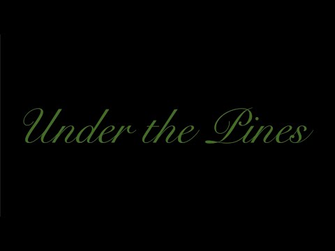 Under the Pines