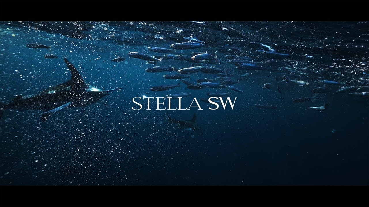 MÁY CÂU SHIMANO STELLA SW 4000HG 2020