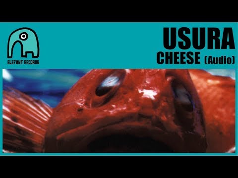 Cheese