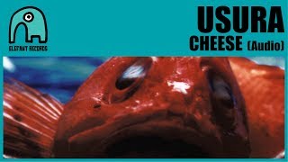 Cheese Music Video
