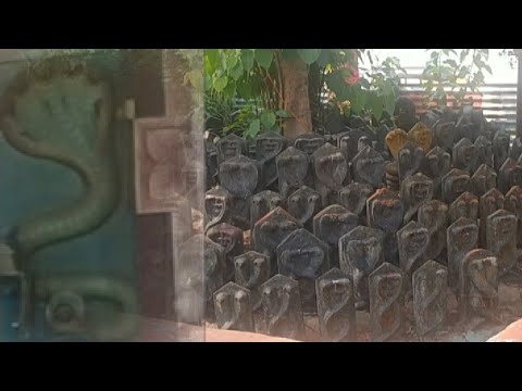 Nagmandir//nagadhevatha//Jayalakshmi ammavaru//narayana