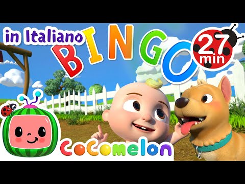 Bingo | CoComelon Italiano - Canzoni per Bambini