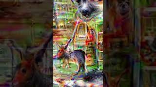 Shopping TRIP 👁🍄👁 #acid #shrooms #trippyvisuals #trippy #psychedelic