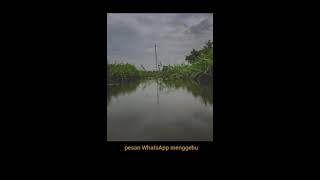 Download lagu Story wa Hindia dehidrasi ft petra sihombing mp3