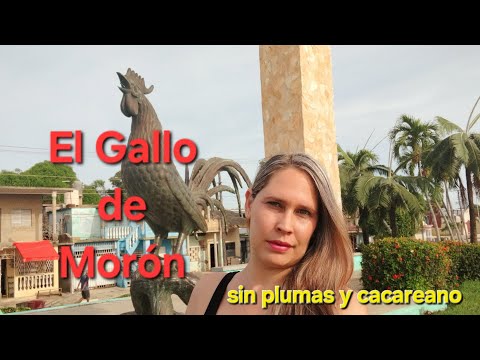 El Gallo De Morón 🐓 | Historia Local