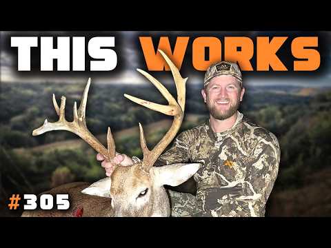 How to Build Whitetail Habitat That Actually Works