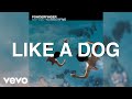Powderfinger - Like A Dog (Official Audio)