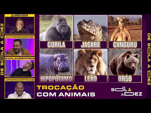 CONTRA QUAL ANIMAL VOCÊ SE GARANTE NO MANO A MANO? | DE SOLA A DEZ