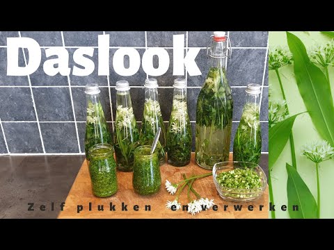 , title : 'Daslook - Zelf Wilde Knoflook Plukken En Verwerken'
