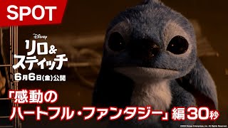 SPOT「感動のハートフル・ファンタジー」編30秒