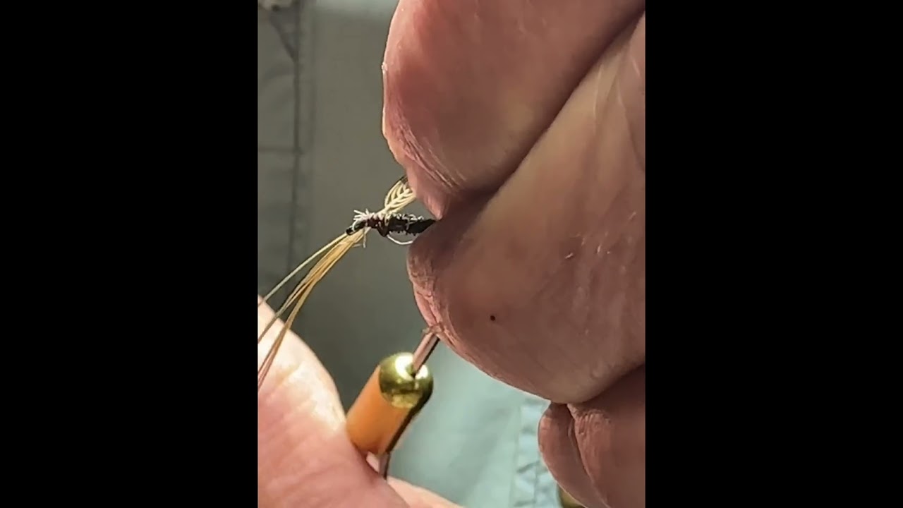 Carey Special Fly Pattern