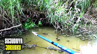 Download lagu OH TUHAN...!!! Pemancing Histeris Melihat Predator Mengamuk Membuat Jorannya Kucar Kacir mp3
