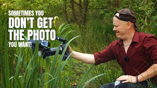 Sometimes, You Don't get the Photo You Want! | Macro Photography Walk