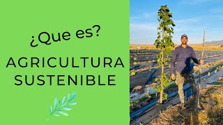 ¿Qué es la Agricultura Sustenible o Sustentable?