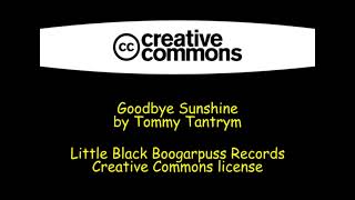 Goodbye Sunshine - Tommy Tantrym