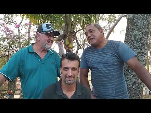 Doces Palavras - a capela