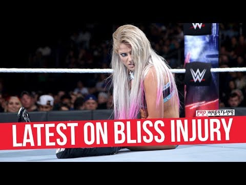 Fight Size Update: Shawn Michaels’ Next Raw Appearance, Kassius Ohno On NXT Role, Being The Elite Update, More