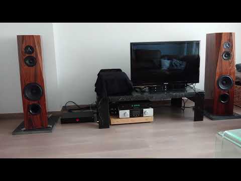 Trigin Audio Exxeed, LKS mh-da004 dac, diy speakers and power conditioner. Nice second system.