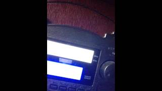 Greg And Steve: Bingo