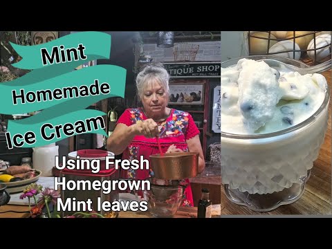 Mint,Chocolate Chip Ice Cream Using Your fresh Homegrown Mint! Refreshing Delicious Easy!