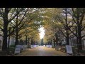 Jackson Browne - Farther On