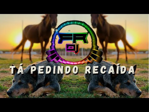 Tá Pedindo Recaída - Pedro Sanchez e Thiago  (FR DJ)