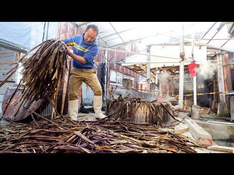 Making Japanese paper. A gentle Japanese traditional craftsman who loves nature and coexists.