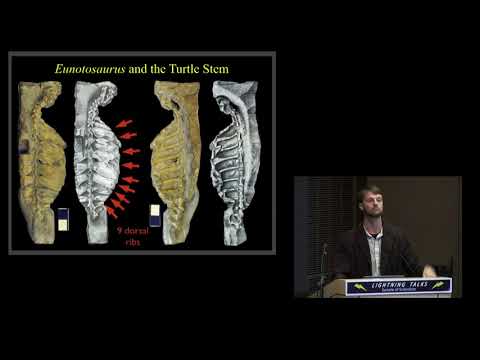 Evolutionary Origin of the Turtle Shell