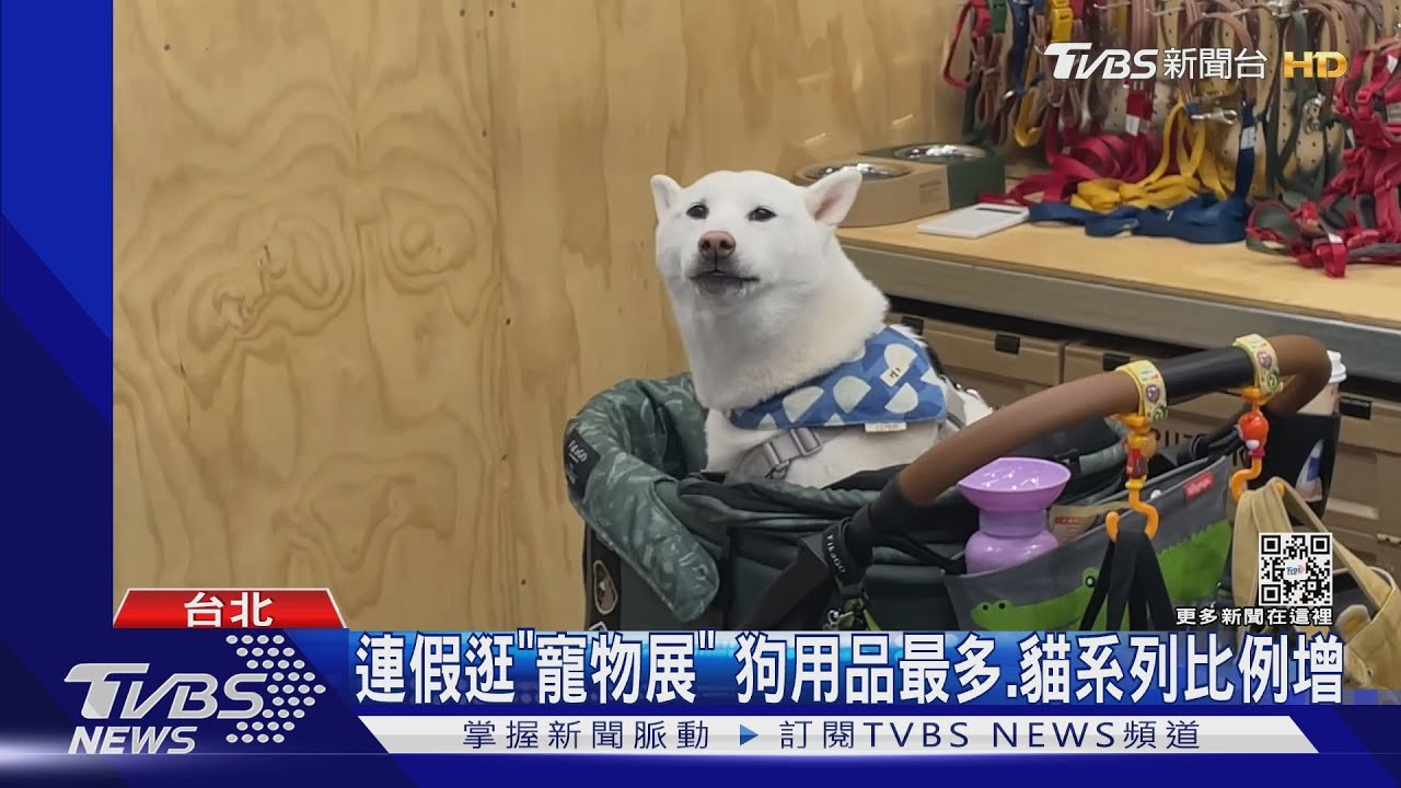連假逛「寵物展」 狗用品最多、貓系列比例增