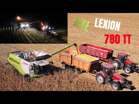 XXL CORN HARVEST IN FRANCE 🇨🇵🥵 / LEXION 780 TT - 8 ROWS 🌽 : ETA LADOIRE