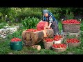 Village Strawberry Cake Homemade Strawberry Pastila Recipe