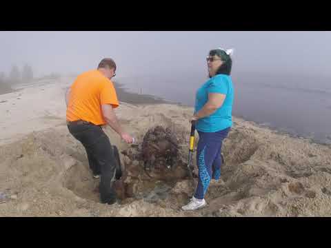 Found a Buried Car at the Beach!