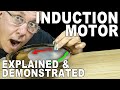 How To Understand Induction Motors