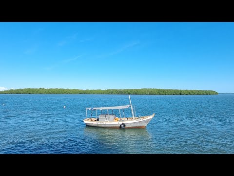SANTA CRUZ CABRALIA-SUL DA BAHIA /UM PEQUENO TOUR DO CENTRO #viagem #bahia #santa cruzcabralia 
