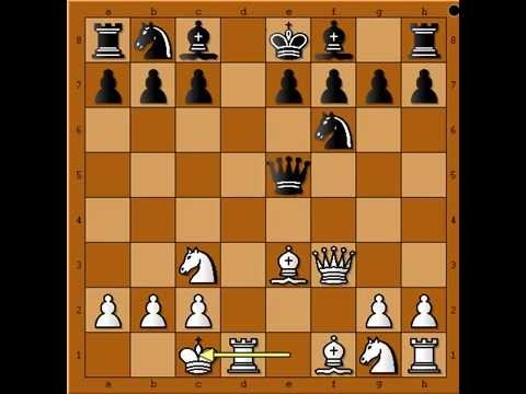 Gambit je uvek zanimljiv - DIEMER vs BURGER \ BARTISCH - Blackmar-Diemer gambit # 613