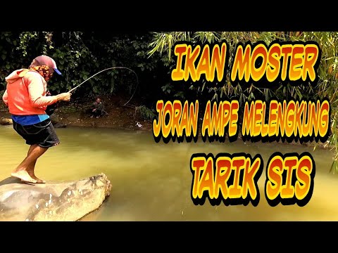 mancing-liar-tarikan-nya-aduhai