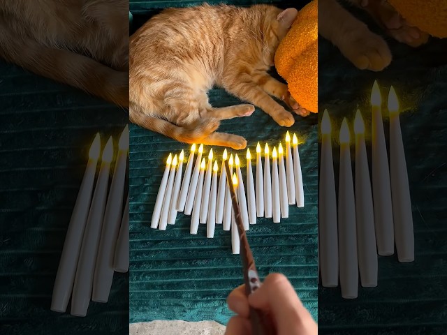 Vídeo relacionado con Harry Potter Vela LED con Mando Varita Interactivo Alcance 5m, Vela sin Llama Pilas, Decoración Hogwarts Regalos Originales Adolescentes Adultos Niños