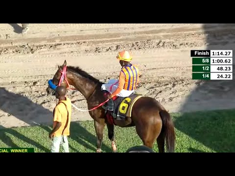 JAMAICA RACING: Big Buzz Springs The Upset At 36-1 | Fri, Dec 26, 2025, 8th