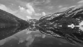 Proto - Stay Free (ft. Djodie) (Official Music Video)