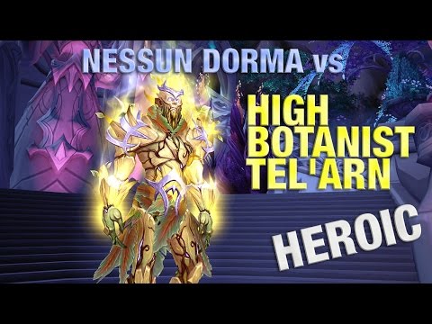 Nessun Dorma VS High Botanist Tel'arn HC - Mage POV [ITA]