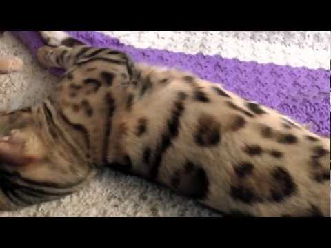 All Fired Out - Camera Test